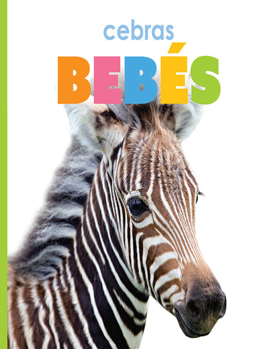 Title details for cebras bebés by Kate Riggs - Available